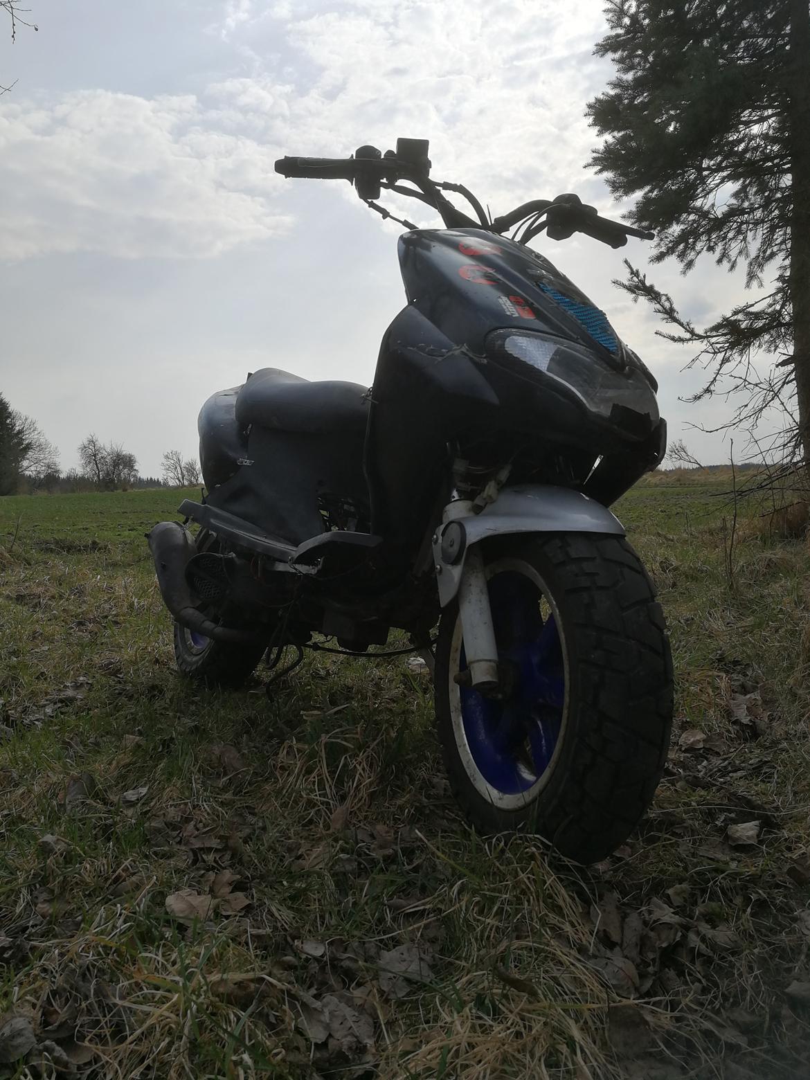 CPI hussar  billede 9