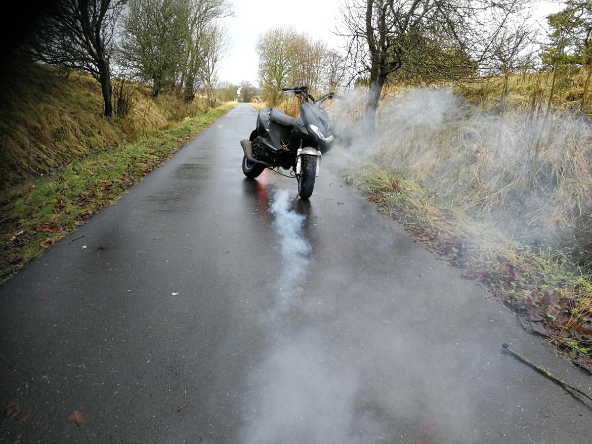 CPI hussar  billede 11