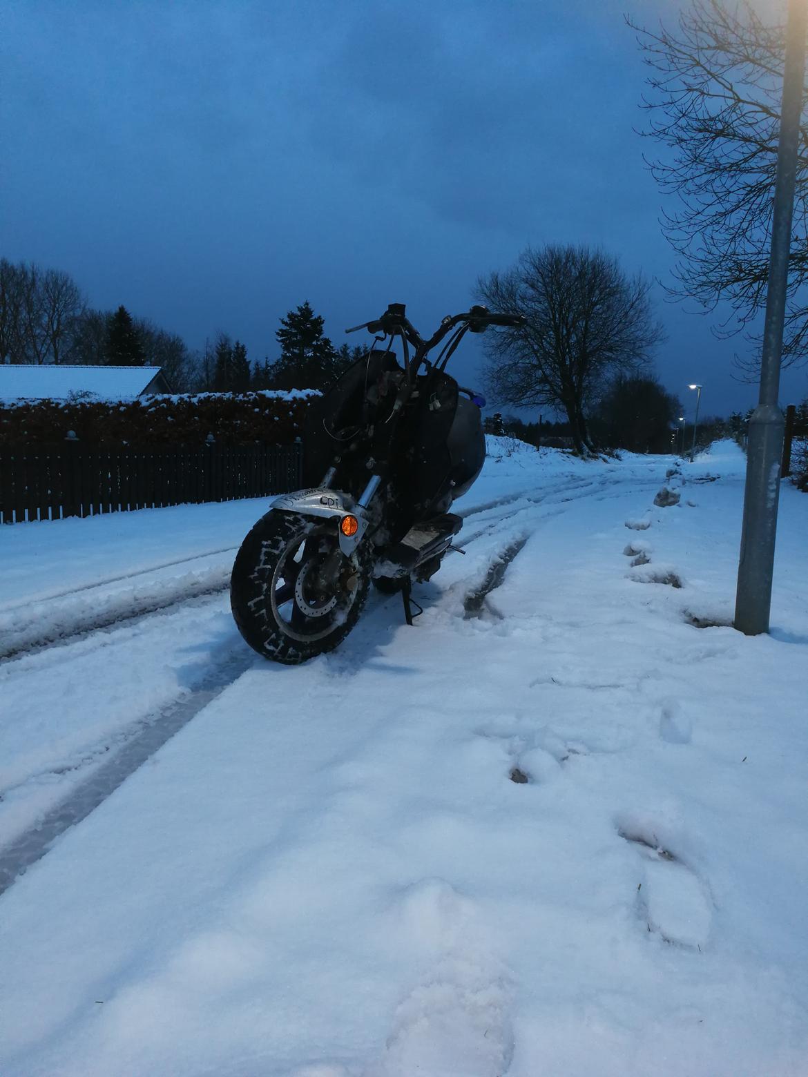 CPI hussar  billede 15