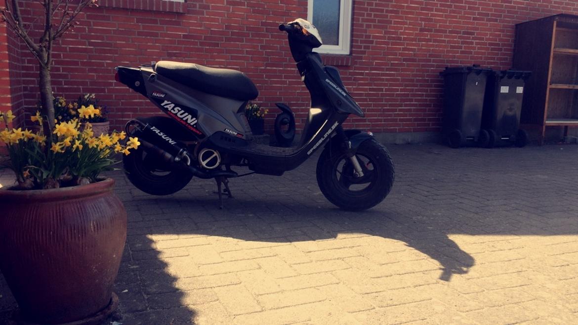 PGO Hot 50 billede 8