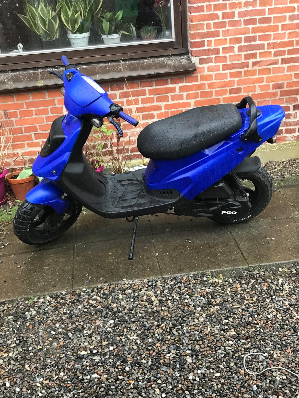 PGO Hot 50  billede 1