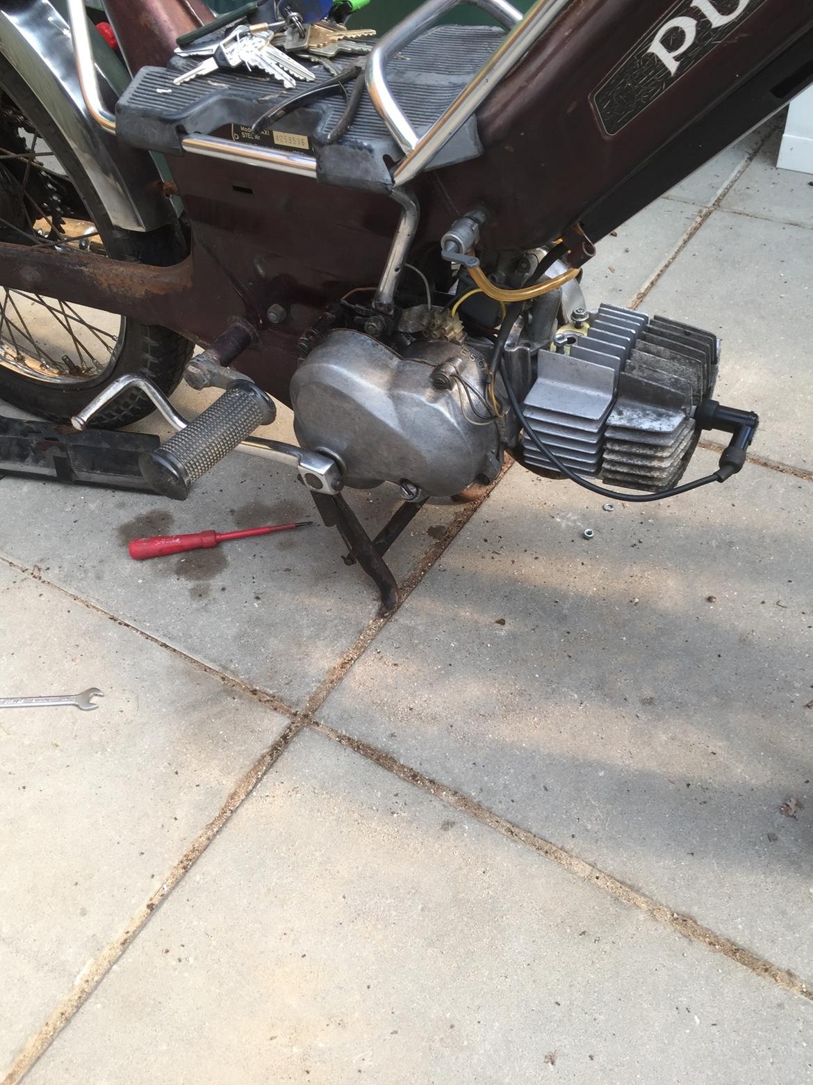 Puch Maxi k jubilæums model billede 11