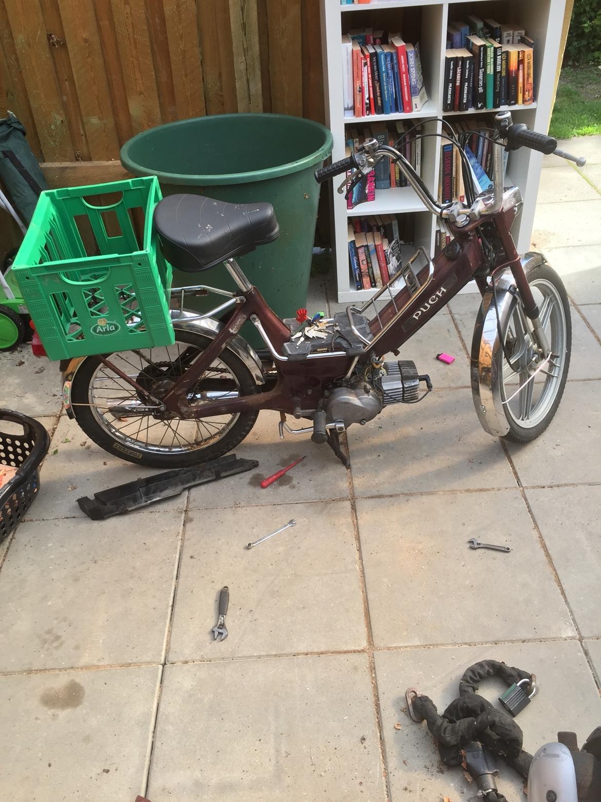 Puch Maxi k jubilæums model billede 12