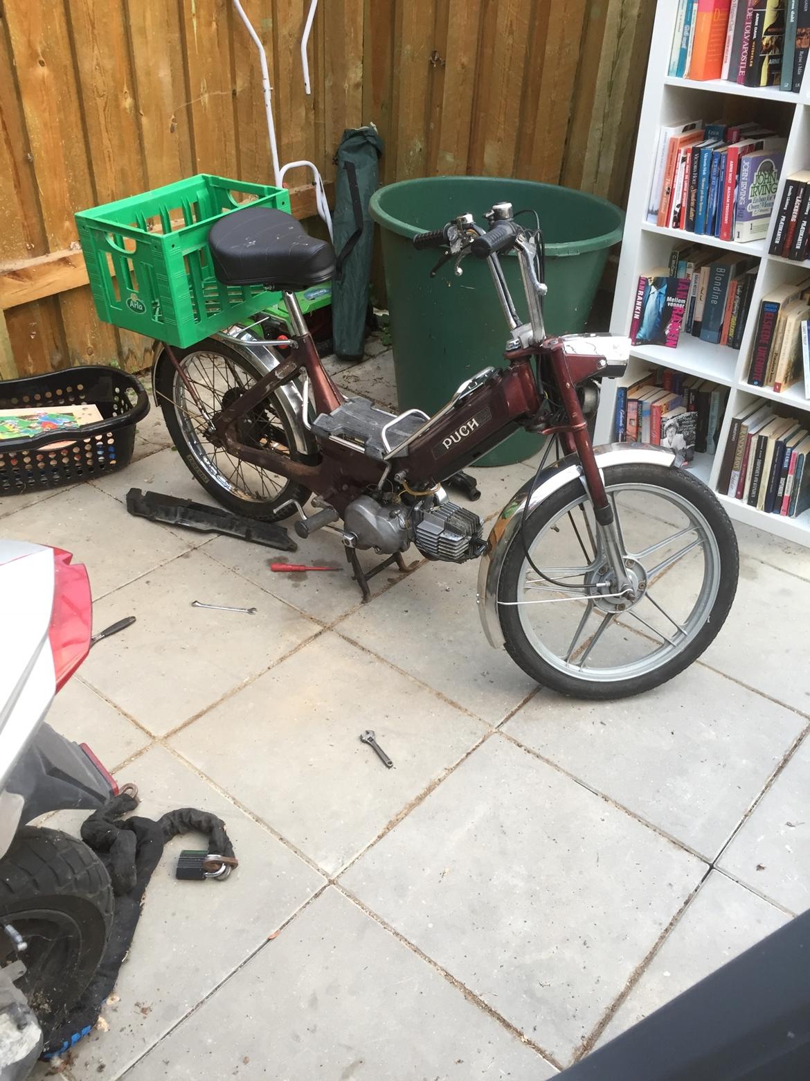 Puch Maxi k jubilæums model billede 15