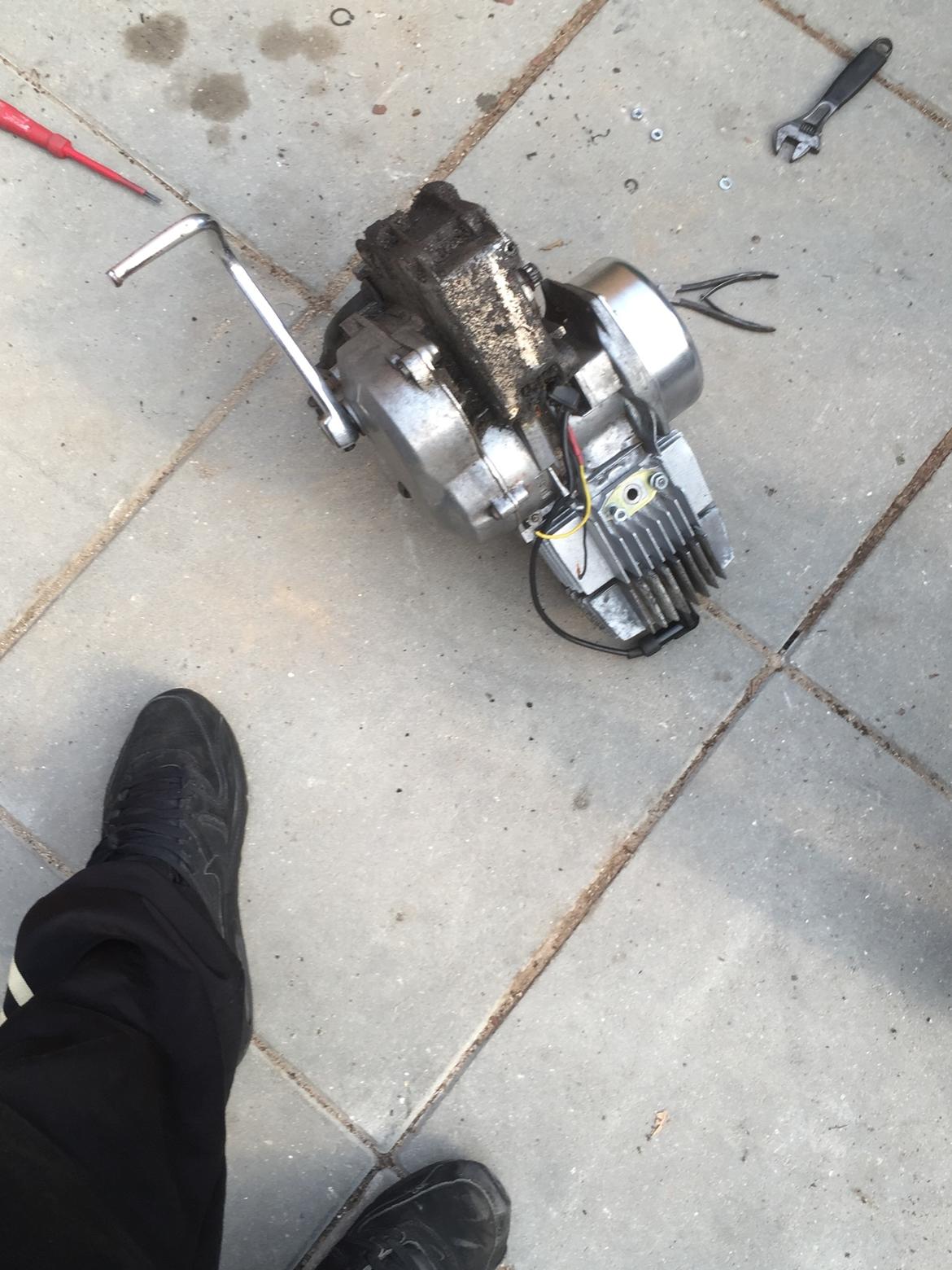 Puch Maxi k jubilæums model billede 19