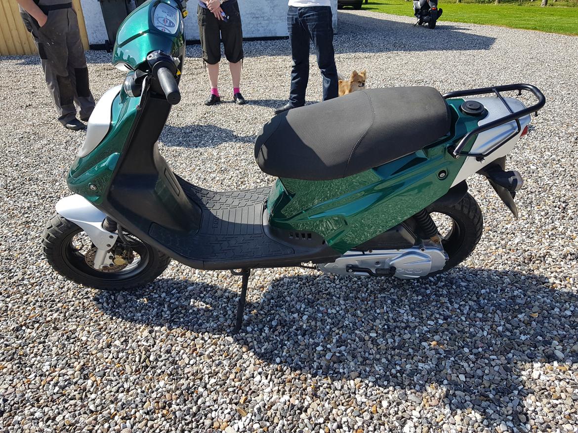 PGO Hot 50 billede 10