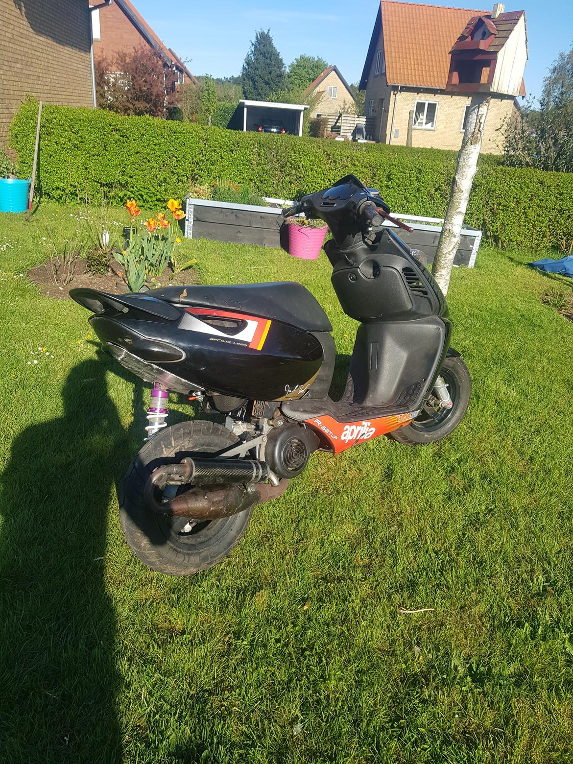 Aprilia sonic evo 2 ac (solgt) billede 6