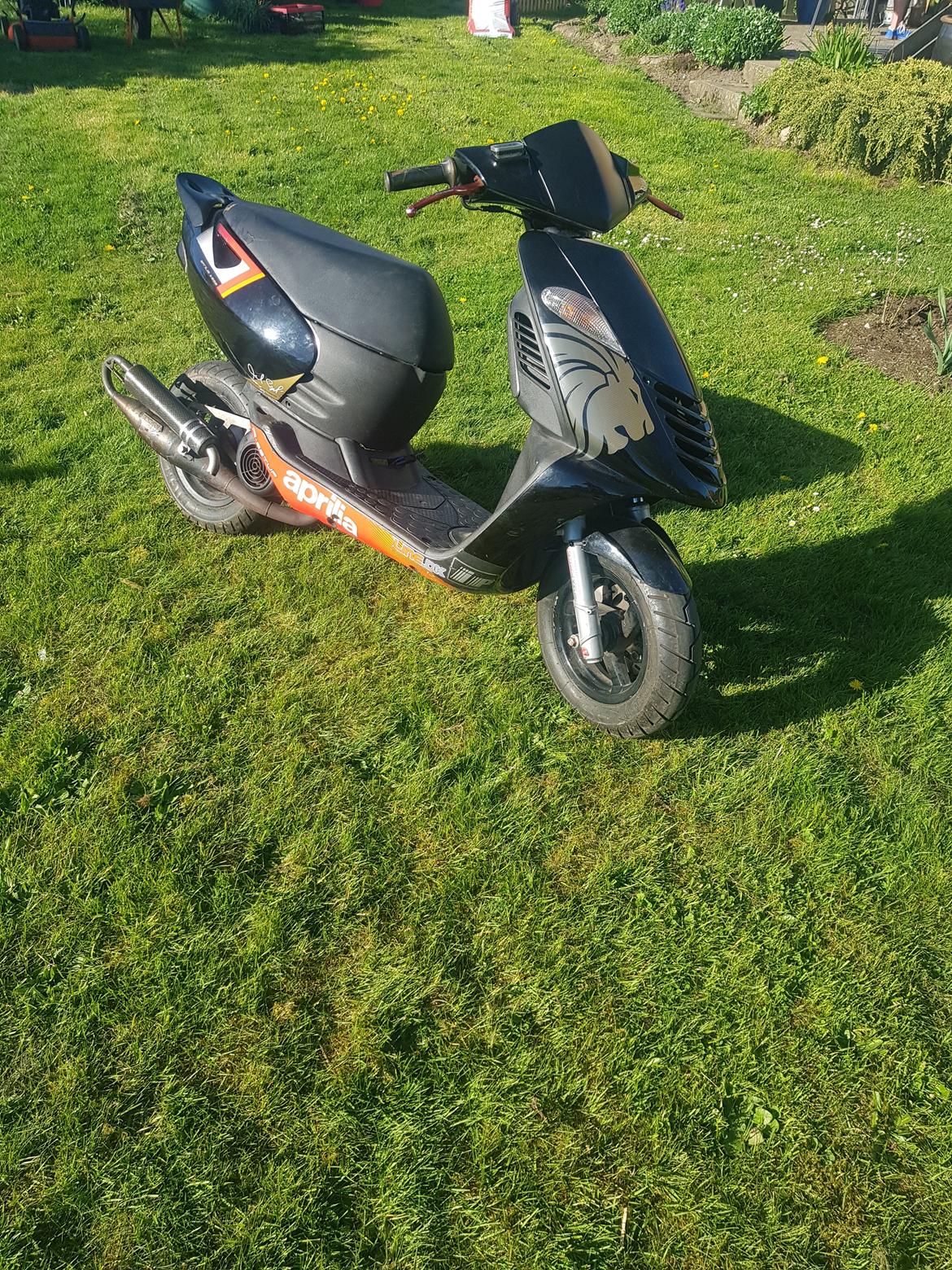 Aprilia sonic evo 2 ac (solgt) billede 5