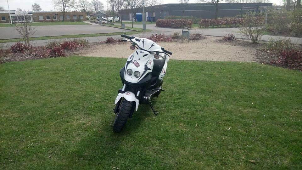 PGO Pmx sport billede 8