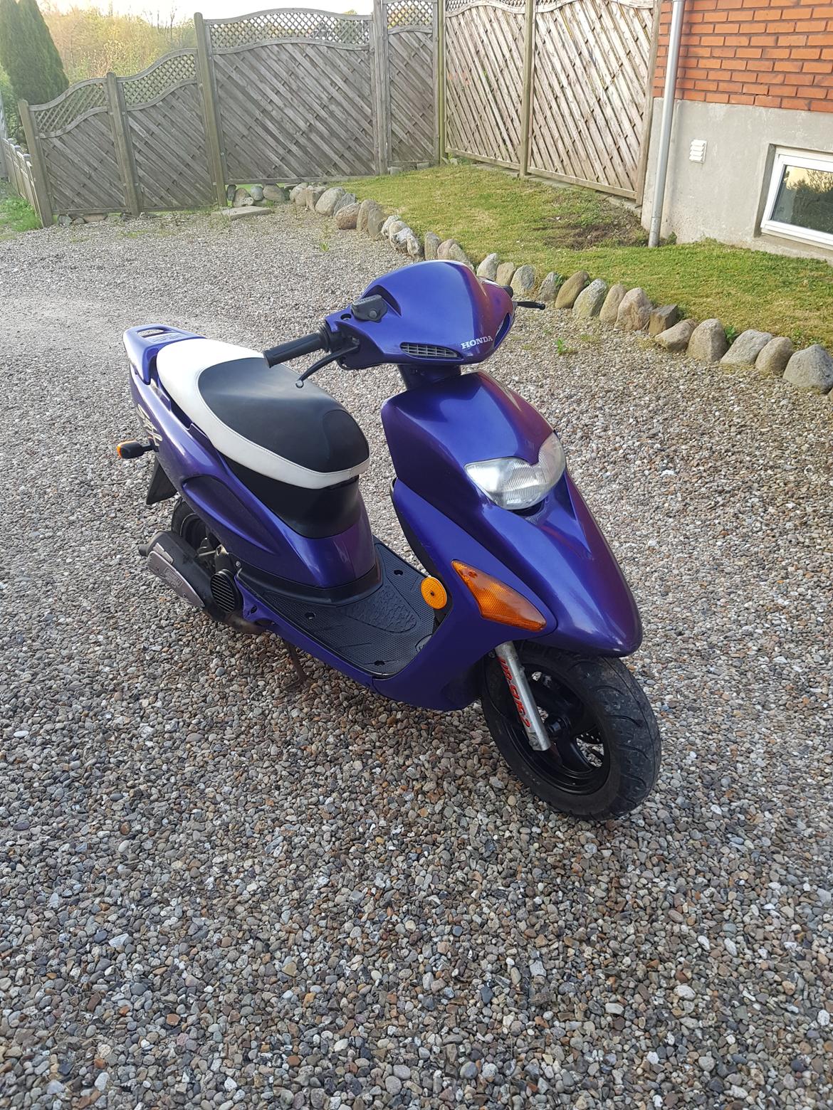 Honda Sfx billede 1