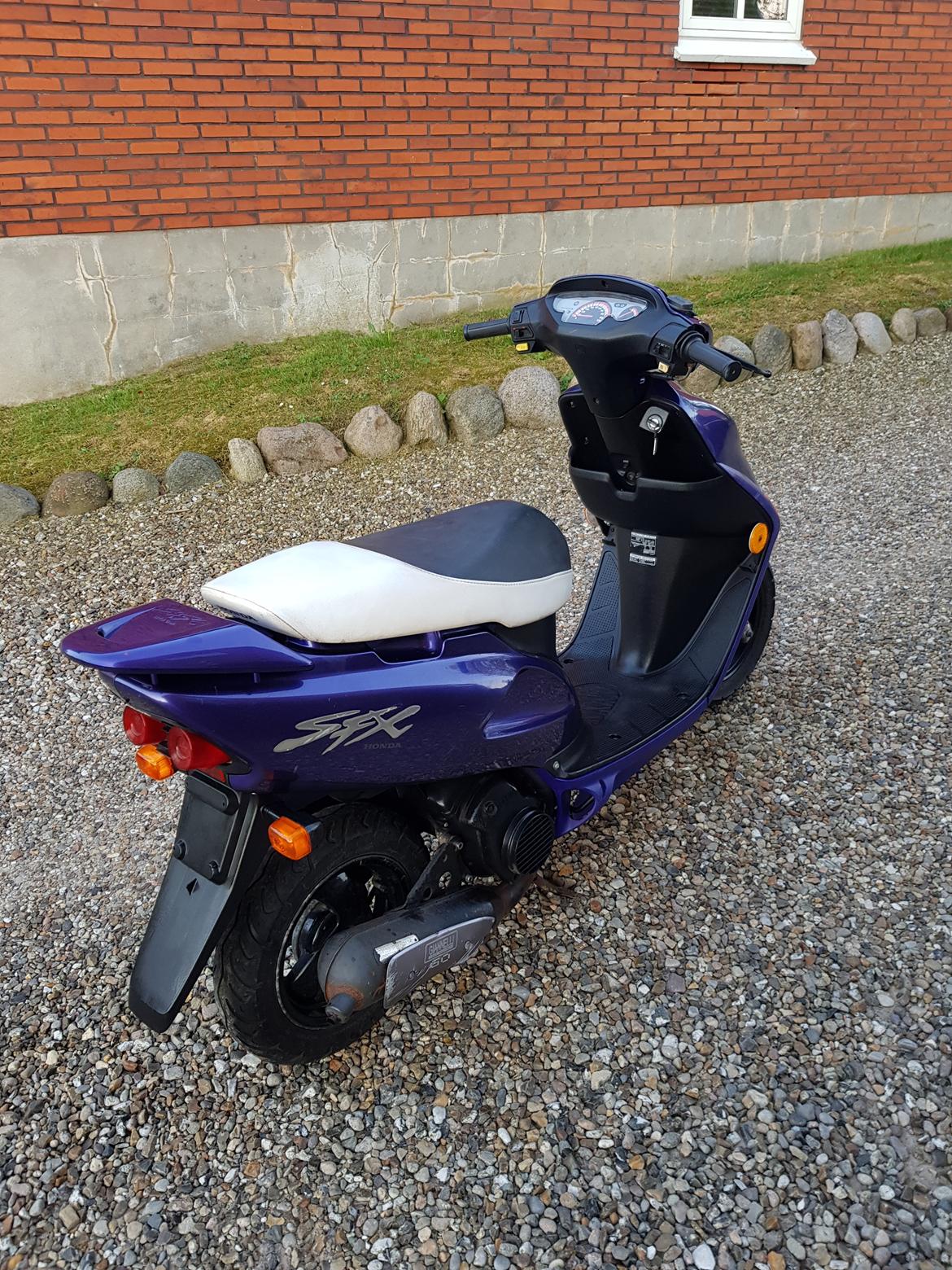 Honda Sfx billede 3