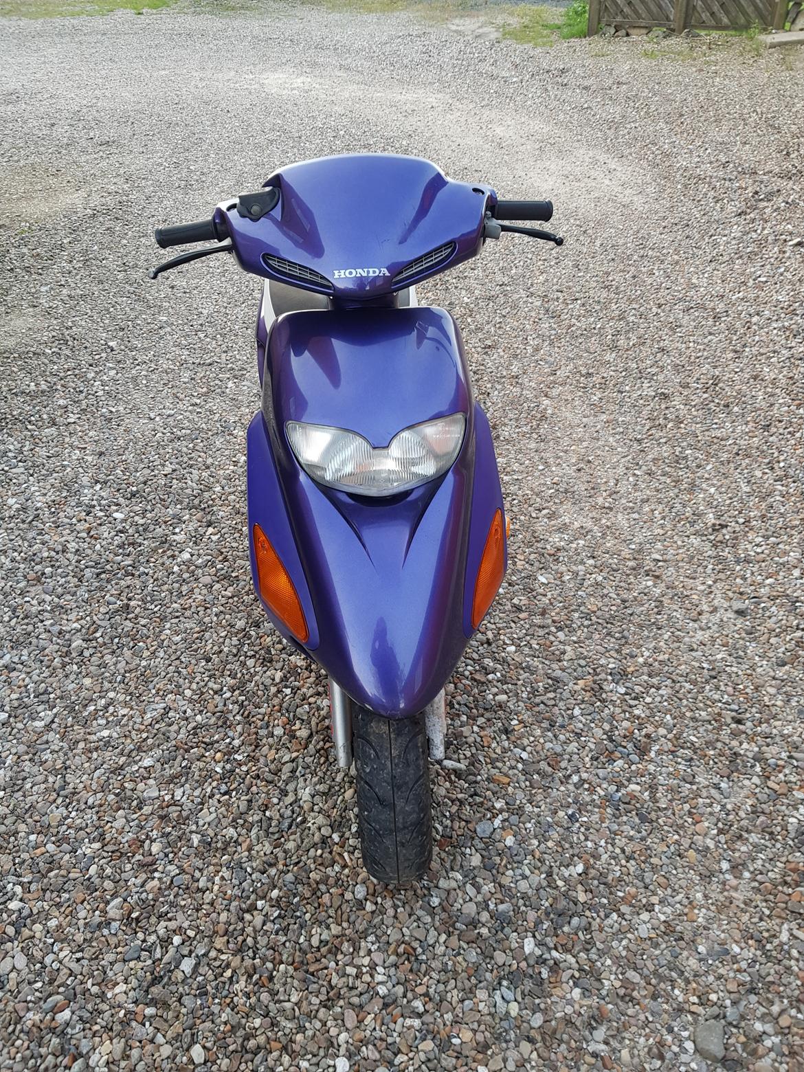 Honda Sfx billede 8