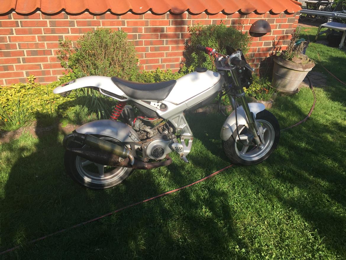 Suzuki Street magic billede 5