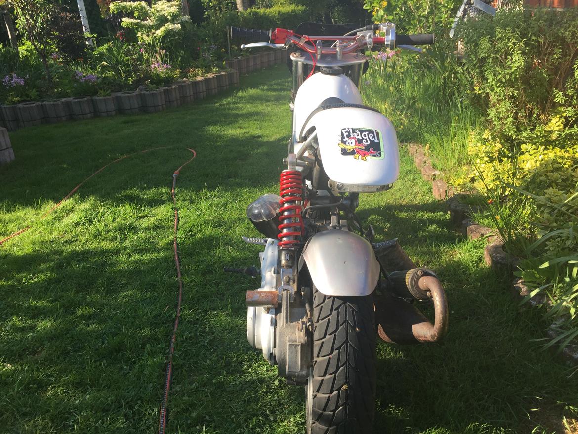 Suzuki Street magic billede 7
