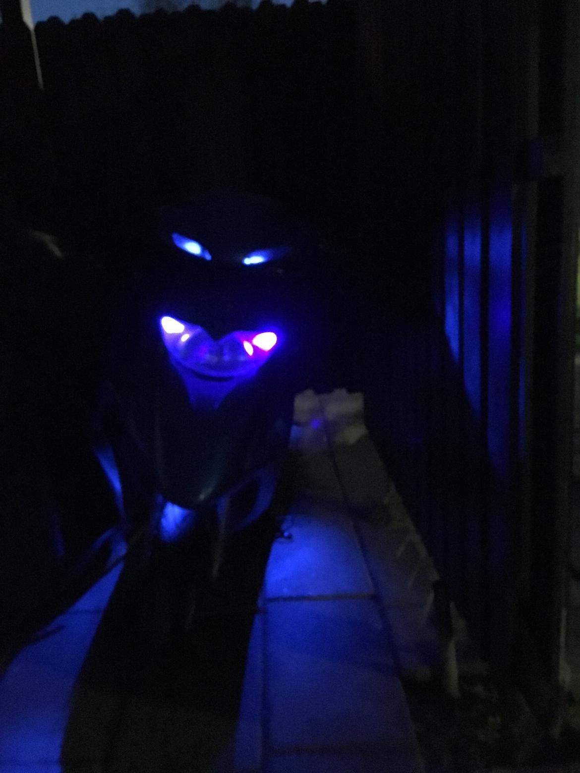 Honda sfx    2004  solgt  3300 kr  billede 3