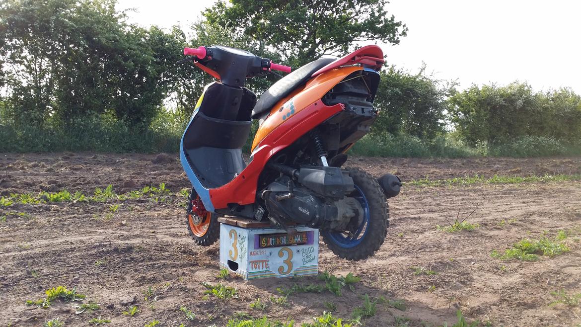 Giantco g buddy ac scootercross "Harlekin" billede 5