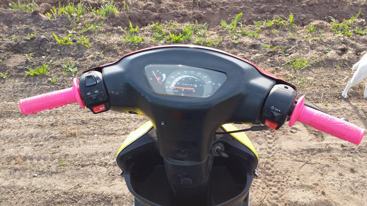 Giantco g buddy ac scootercross "Harlekin" billede 9