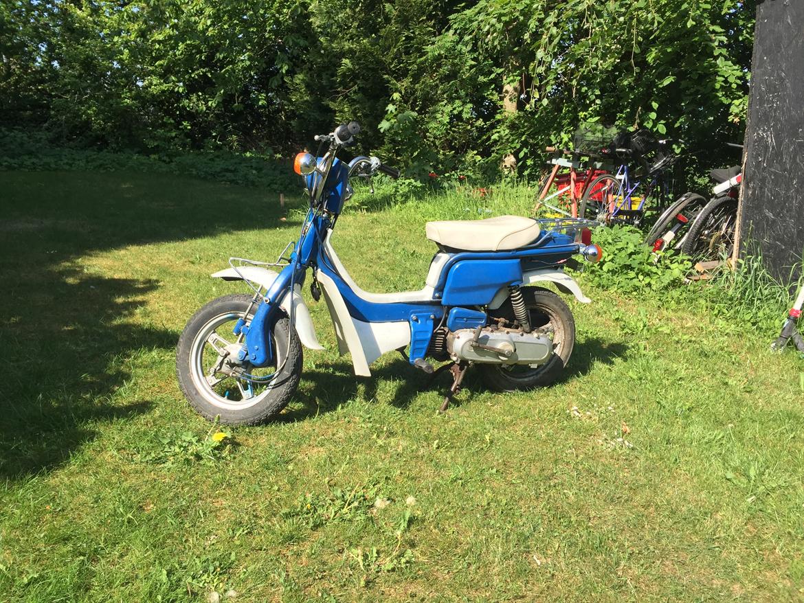 Suzuki FZ50 billede 1