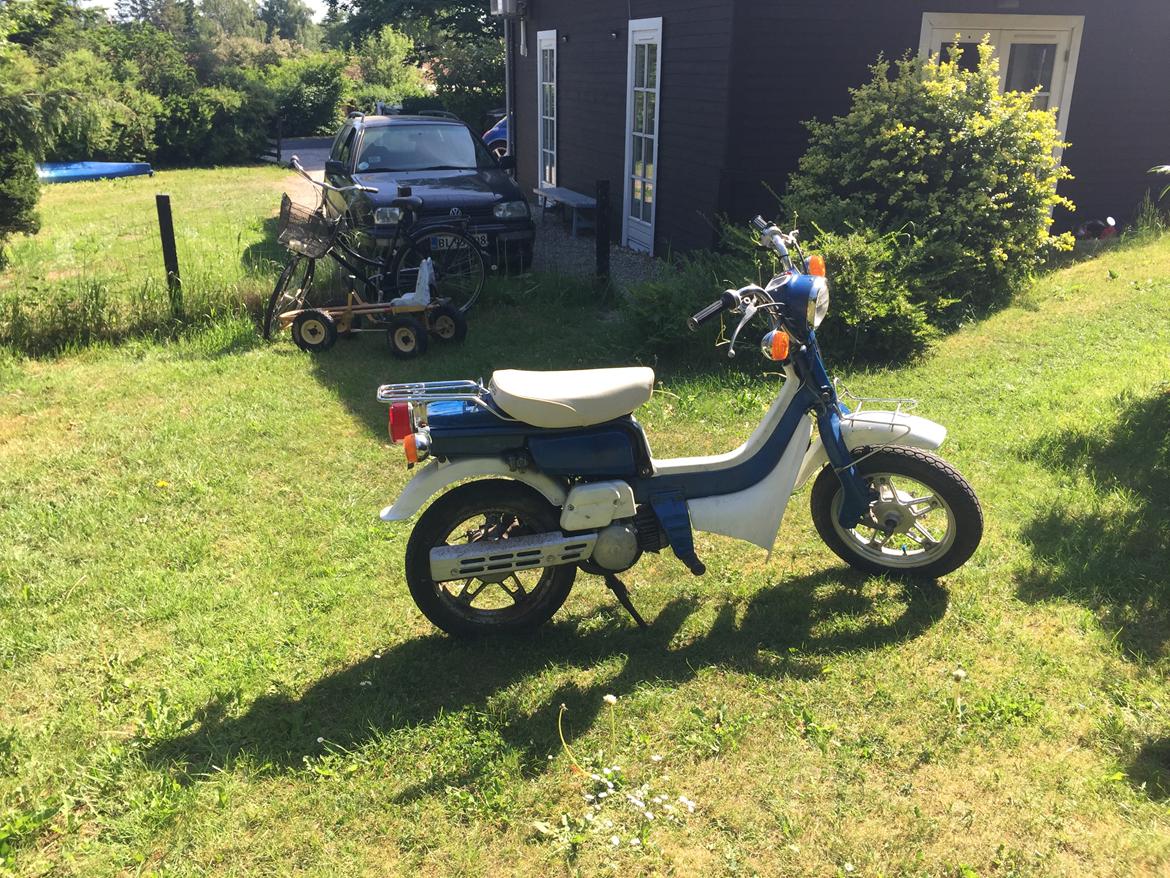 Suzuki FZ50 billede 2