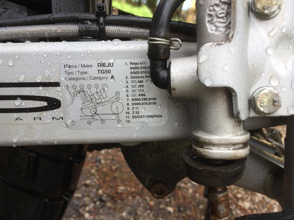 Rieju Tango 50 billede 12