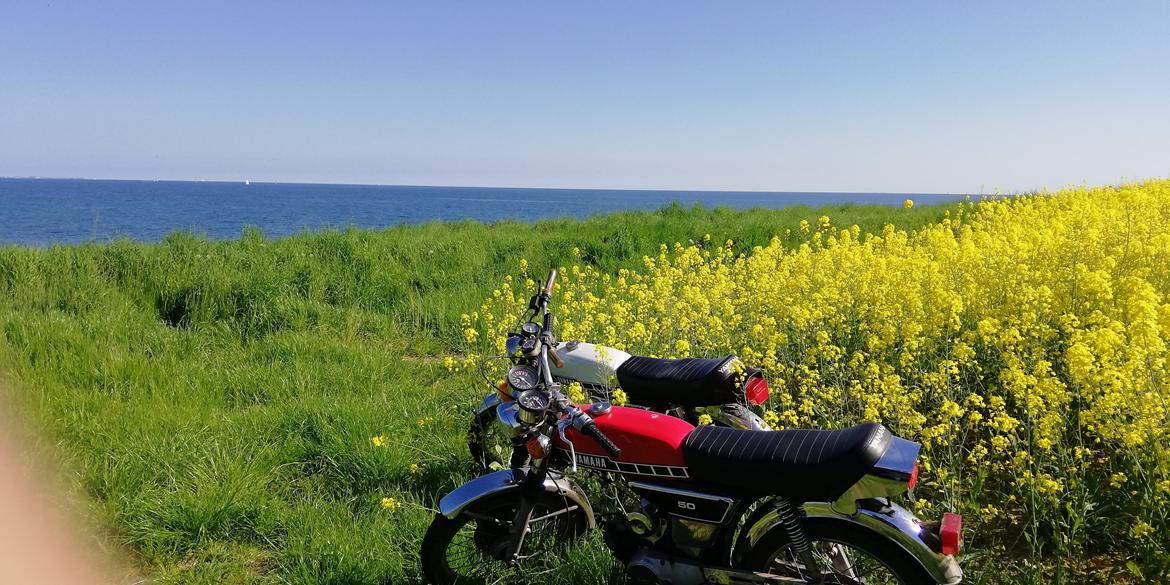 Yamaha Fs1 dx billede 2