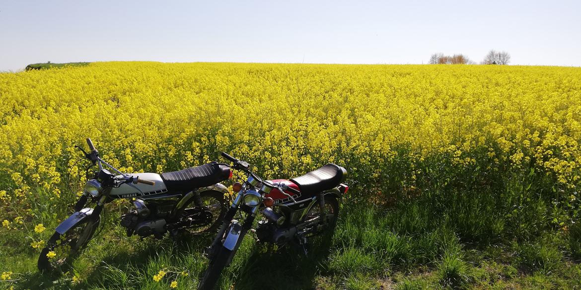 Yamaha Fs1 dx billede 3