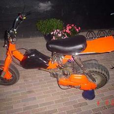 Suzuki Fz/Hot 50 Taget af panser