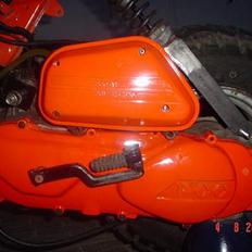 Suzuki Fz/Hot 50 Taget af panser