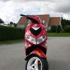 Peugeot Speedfight 2 WRC 307