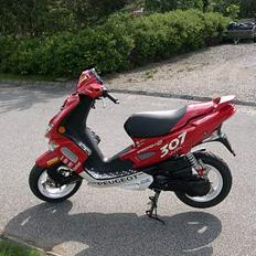 Peugeot Speedfight 2 WRC 307