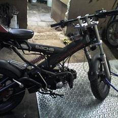 Sachs MadAss [SOLGT]