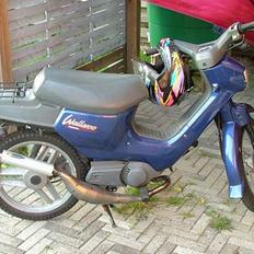 Honda walleroo ( SOLGT )