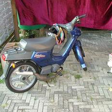 Honda walleroo ( SOLGT )