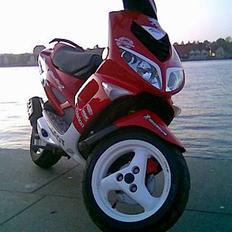 Peugeot Speedfight 2 *SMADRET*