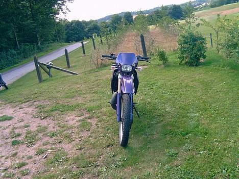 Suzuki Rmx billede 4