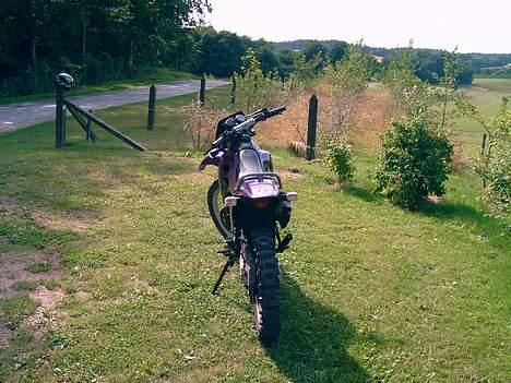 Suzuki Rmx billede 6