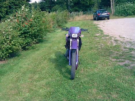 Suzuki Rmx billede 7