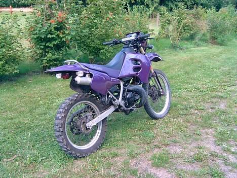 Suzuki Rmx billede 9