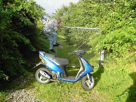 Piaggio NRG *ralle* billede 5