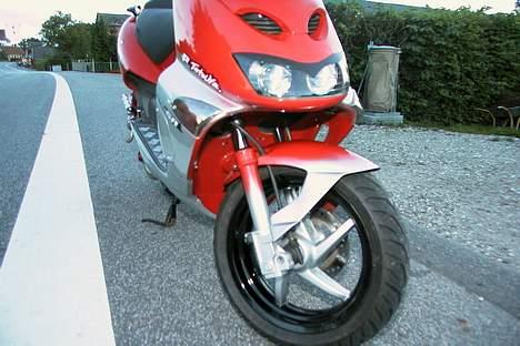 Aprilia SR 50 - synes selv at fælgene er blevet fede, bemærk blinklys med spejlreflex billede 7