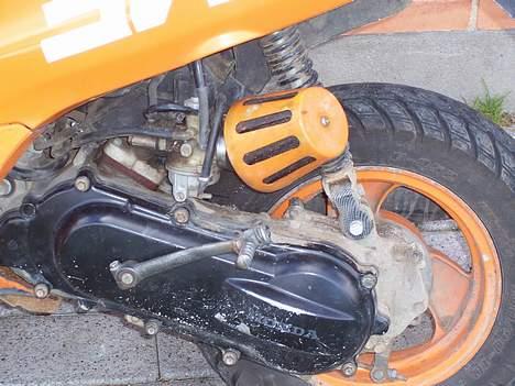 Honda sfx"det orange lyn" - motoren med power luftfilter billede 14