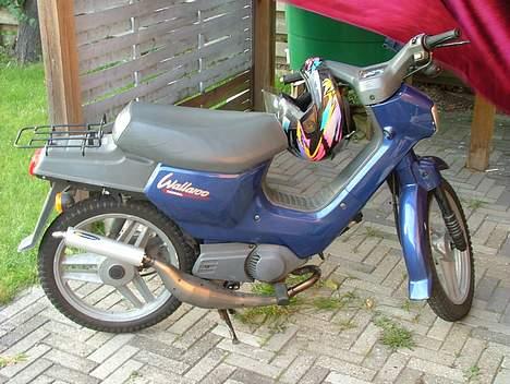 Honda walleroo ( SOLGT ) billede 1