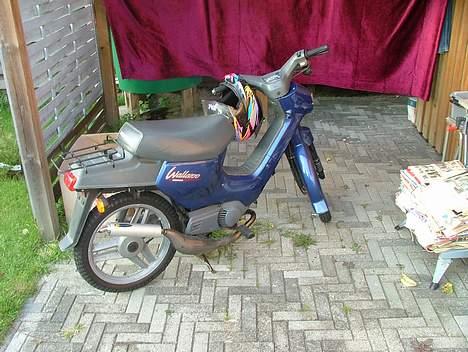 Honda walleroo ( SOLGT ) billede 2
