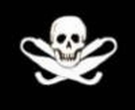 MiniBike MIniBike 20,10hk  STT billede 5