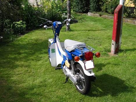 Suzuki Fz 50, 45´er, TIL SALG billede 4