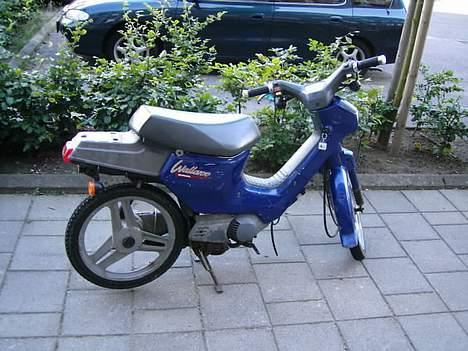 Honda wallaroo ( STJÅLET) billede 1
