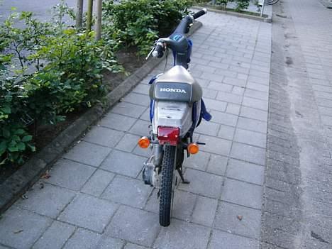 Honda wallaroo ( STJÅLET) billede 2