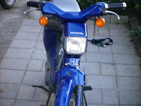 Honda wallaroo ( STJÅLET) billede 3