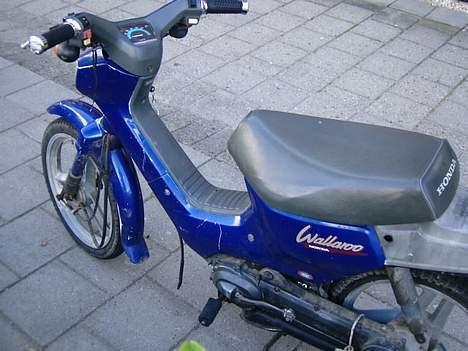 Honda wallaroo ( STJÅLET) billede 5