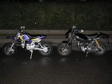 MiniBike mini crosser solgt! - der kan i se hvor stor den er.... til dem som ved hvor stor en ssm er ? billede 4